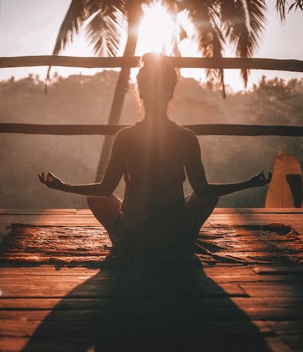 how does chronic stress affect the immune system