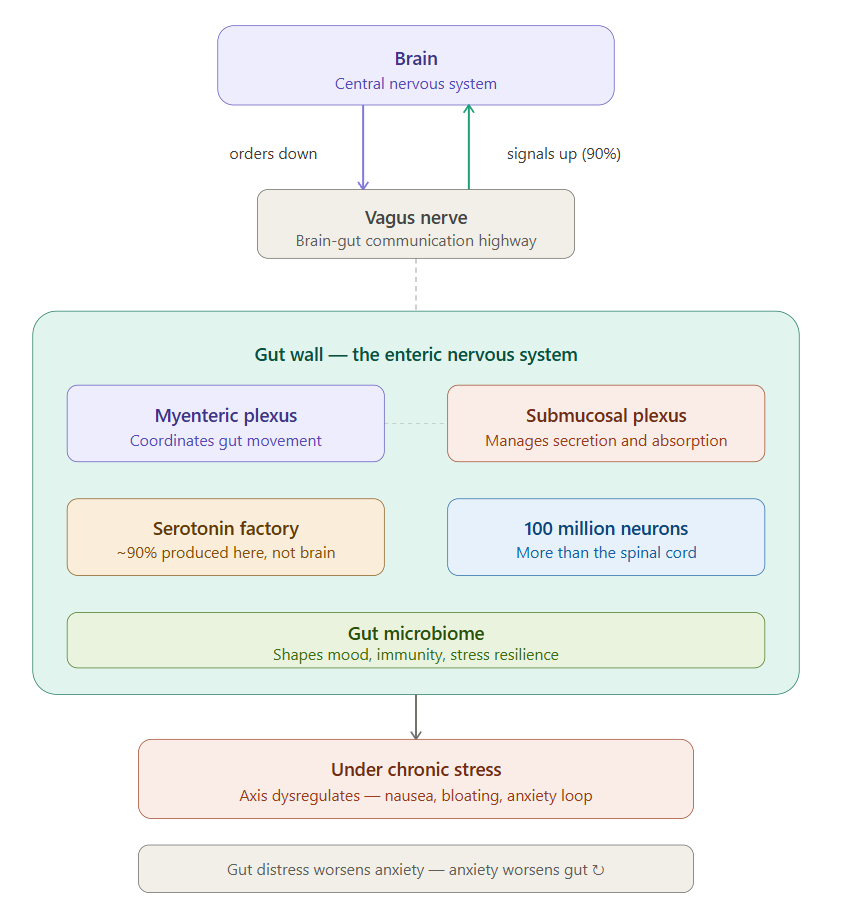 mental stress and physical health