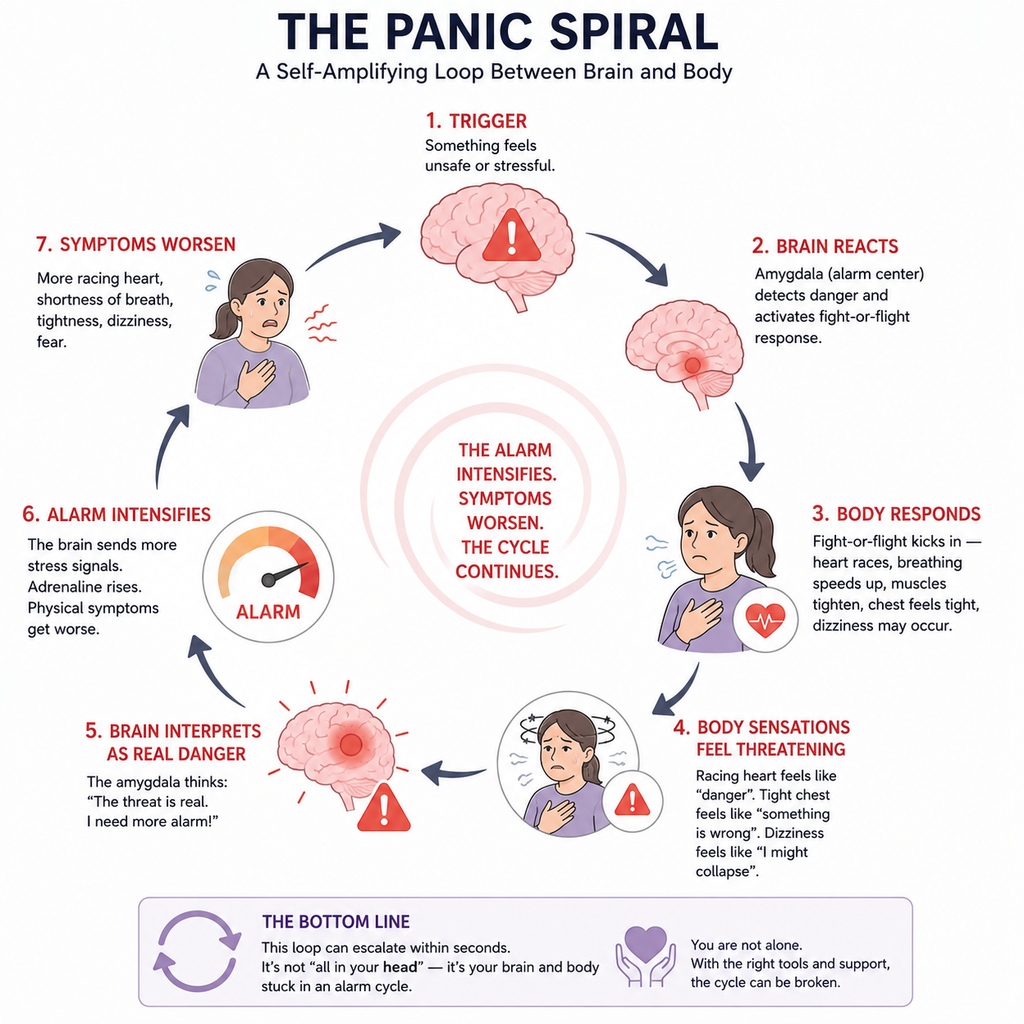 panic attack brain scienc