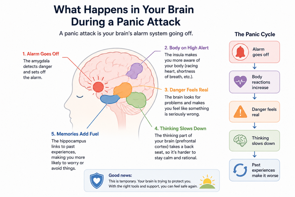 amygdala panic attack