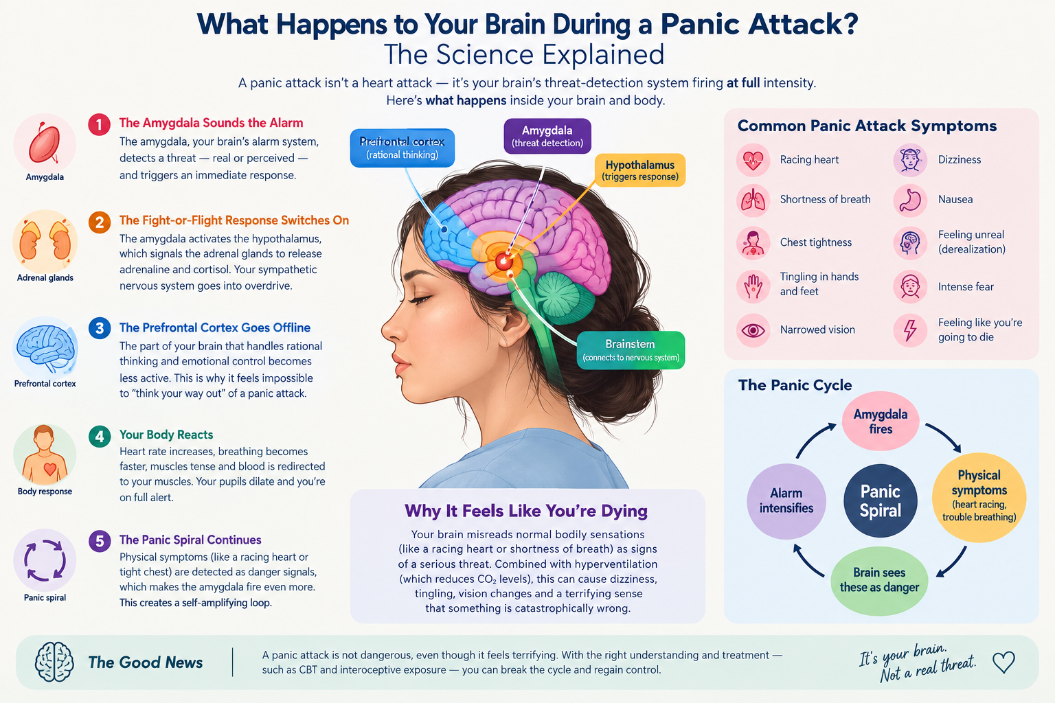 what happens during a panic attack